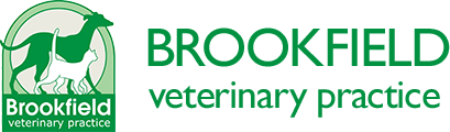 Brookfield Veterinary Practice logo image