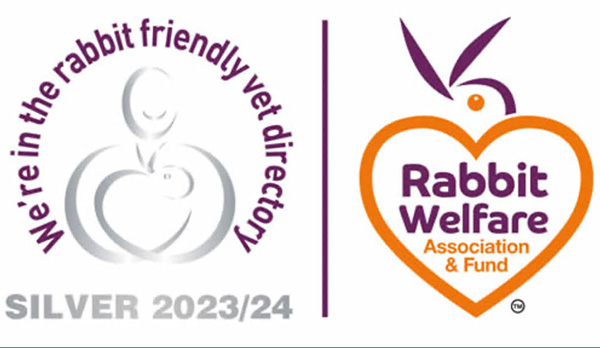 Rabbit Friendly Clinic