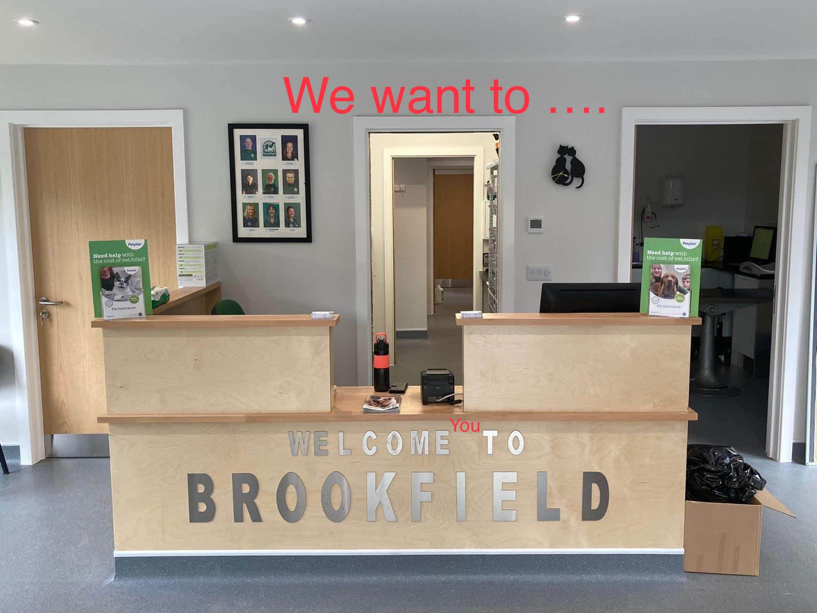 Image of the team at Brookfield Vets